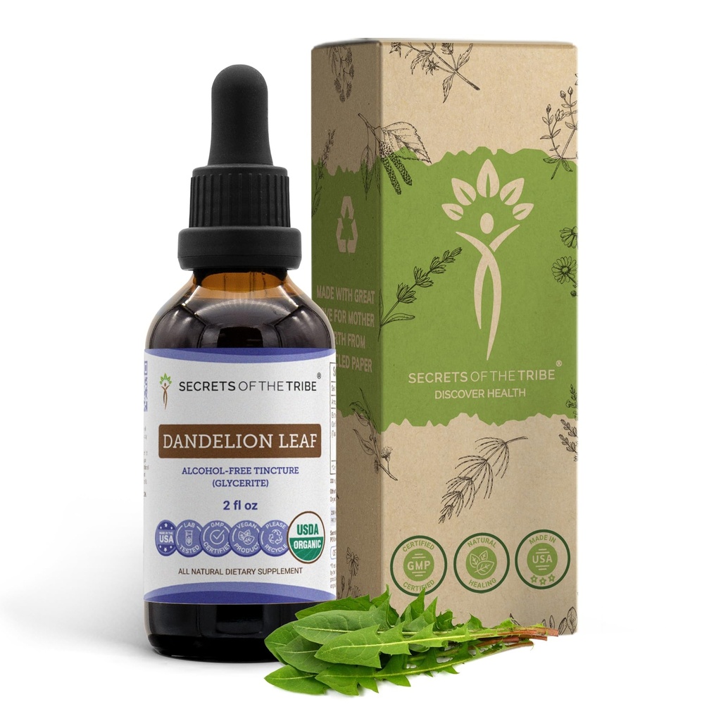 Geheimen van het Stam Dandelion Leaf USDA Organisch 