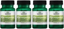 Swanson Pycnogenol 100 Milligrammen 30 Capsules 4 Verpakking