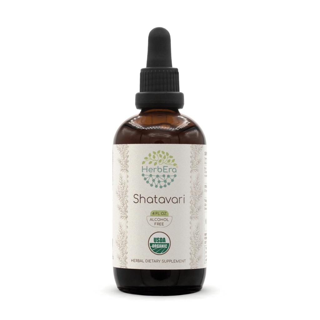 HerbEra Shatavari B120 USDA Teinture biologique (extrait sans alcool, gouttes à base de plantes de haute puissance) Shatavari biologique certifié (Asparagus racemosus) Racine séchée (4 oz)