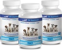 hondenblaas kauwen - DOG URINAIRE TRACTE ONDERSTEUNING - NATUURLIJKE CRANBERRY OPLOSSING - BLADDER GEZONDHEID - VOET AANBEVOLKING - cranberry supplement voor honden geweldig - 3 fles (270 Treats)