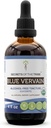 Geheimen van de Stam Blauw Vervain USDA Organisch 