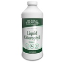 Begraven Treasure Liquid Chlorofyl 100 mg, Dieetsupplement, Intestinale Digestieve Ondersteuning Natuurlijke Body Deodorant Vegan Non-GMO Alcoholvrij, Spearmint Flavor 32oz
