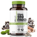Biologische Ierse Zee Mos Capsules: Wildcrafted Sea Moss, Burdock Root & Bladderwrack Prebiotic Super Food for Immune Support, Thyroid Support, Natural Energy, -120 Caps