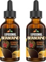 Supplément berbère avec Ceylan Cinnamon 3000mg - Haute biodisponibilité Liposomique gouttes liquides berbère, suppléments Turmériques complexe HCL Plus berbère, Activateur AMPK, Convient aux femmes, Hommes-120ml