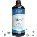 Begraven Treasure Purified Silver Liquid 30 PPM - 16 oz. 96 Servers, Niet-accumulerende Nano Silver Solution, Spray & Dietary Immune Supplement