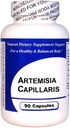 Artemisia Capillaris (90 capsules) - Geconcentreerd kruidenextract - Dieetsupplement