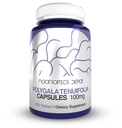 Nootropics Depot Polygala tenu