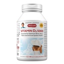 ANDREW LESSMAN Vitamine D3 5000 IE 360 Capsules - Hoge sterkte, essentieel voor Calcium Absorptie, Ondersteunt botgezondheid, gezonde spierfunctie, immuunsysteem, Meer. Klein Makkelijk doorslikken Capsules