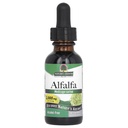 Nature's Antwoord Alcoholvrije Alfalfa Herb Extract, 1-Fluid Ounce ondersteunt immuunsysteem, bloed, spijsvertering, energieniveaus - helpt bij ontgifting