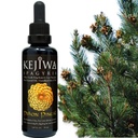 Kejiwa PIÑON PINEAL Spagyria: Wild Geoogste pijnboom kruiden Tinctuur voor Third Eye Activation, Nootropic, Adaptogen, Vitality Support 1.69 floz