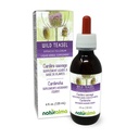 Naturalma Wild Teasel of Fuller's Teasel (Dipsacus fullonum of D. sylvestris) Wortel Alcoholvrije Tinctuur - 4 floz Liquid Extract in druppels - Kruidensupplement - Veganistisch
