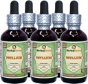 Psyllium (Plantago Ovata) Glyceriet, biologisch gedroogd Husk Alcoholvrije vloeibare Extract (Grote naam: HerbalTerra, Trots gemaakt in USA) 5x2 f.oz (5x60 ml)