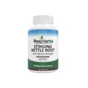 Real Herbs Stinging Nettle Root Extract 7500mg (750mg van 10:1 Extract) 