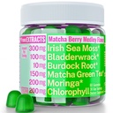 Moringa Irish Sea Moss Chlorofyl EGCg Green Tea Burdock Root Bladderwrack Super Greens Gummies, Powder Capsules Pillen vloeibare druppels Olie Tinctuur Supplement Supplementen Alt, Biologische Groene Zeemos