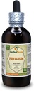 Psyllium (Plantago Ovata) Tinctuur, Organisch gedroogd Husk Liquid Extract (Brand Naam: HerbalTerra, Trots Made in USA) 4 fl.oz (120 ml)