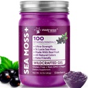 WELLNESS LABSRX Irish Sea Moss Gel Raw - Wildcrafted Superfood Seamoss Gel - Elderberry Flavor, Vitamine and Mineral-Rich from Pristine Caribbean Waters, Immune and Digestive Health Support - 10 oz.