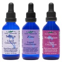 Eidon Ionic Minerals Liquid Silica, Zink, & Magnesium Drops Variety Pack - Silica, Zink, & Magnesium Supplementen, All-Natural Trace Minerals, No Conservatives or Additives - 2 oz, Pack of 3