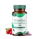 Pilules de canneberge - Supplément de canneberge pour la santé de l'urine - 36mg de PACs de putent - Non OGM, végétalien, sans gluten - par Heale - 30 Capsules
