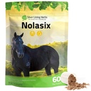 Silver Lining Herbs Nolasix Lung & Circulatie Supplementen voor paarden Natuurlijke kruiden Horse Supplement voor Circulatie, Hartgezondheid & Lung Ondersteuning Normale ademen & spatelondersteuning 