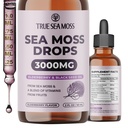 TrueSeaMoss Irish Sea Moss Drops - 5X Plus fort que le gel de mousse de mer - 92+ Minéraux essentiels - avec mûre noire, racine de lard et cumin noir - 2 Fl Oz (60ml) - Arôme de mûre