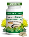 Immune Support, Energy Booster with Vitamin C, D3 and Zinc Supplement, Rhodiola Rosea, Reishi Mushroom Extract, Astragalus, Overall Wellness and Daily Habit - 60 Capsules