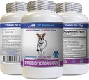 Bad Dog Breath Remedie - PROBIOTICS voor honden - Gezond Gut - Stop gas Diarree en slechte adem - Digestieve Boost - Hondenprobiotica Bad adem - 1 fles (60 Treats)