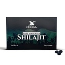 Chuga Pure Himalaya Shilajit tabletten voor mannen en vrouwen 