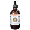 Extrait liquide de Ginkgo, Ginkgo biologique (Ginkgo Biloba) Supplément de teinture 4 oz