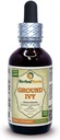 Ground Ivy (Glechoma hederacea) Tincture, Dried Herb Liquid Extract (Brand Name: HerbalTerra, Proudly Made in USA) 2 fl.oz (60 ml)
