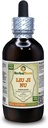 Liu Ji Nu, Artèmesia (Artemisia Anomala) Teinture, Extrait liquide d'herbe séchée (Marque: HerbalTerra, Fièrement fabriqué aux États-Unis) 4 fl.oz (120 ml)