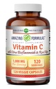 Verbazingwekkende formules Vitamine C (Ascorbinezuur) 1000 Mg met Rose HIPS & Citrus Bioflavonoids 