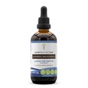 Geheimen van de stam Goldenseal en Echinacea Alcoholvrije Liquid Extract, Kruiden (Echinacea Root (Echinacea Purpurea), Goldenseal Root (Hydrastis Canadensis)) Tinctuur Supplement (4 FL OZ)