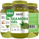 Sea Moss Gel Matcha Green Tea 24oz Wildsrafted Gold Sea Moss Gel van Saint Lucia 