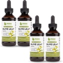 Maxx Herb Olive Leaf Extract Max Strength Oleuropein Liquid Absorbs Better Than Capsules or Tea, for Immune Support, Heart Health, and Seasonal Wellness - 4 Bottles, 4 Oz Each (240 Servings)