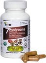 Sayan 7 Paddestoel Extract 90 Capsules/440mg ea 