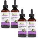 Maxx Herb Passion Flower Extract - Max Strength Passion-Flower Liquid Absorbs Better Than Capsules, for Relaxation and Stress Relief, Alcohol-Free - 4 Bottles, 4 Oz Each (240 Servings)