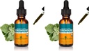 Herb Pharm Horehound Liquid Extract voor de ondersteuning van het ademhalingssysteem - 1 Ounce (verpakking van 2)