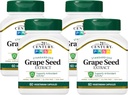 21e eeuw Grape Seed Extract Veg Capsules, 60 Tel (21378) (verpakking van 4)