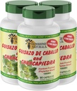 Sunshine Naturals Guisazo & Chancapiedra Herbal Blend, Natural Dietary Supplement for Wellness Support, 90 Capsules. Verpakking van 3