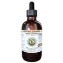 Châtaigne de cheval Extrait liquide sans alcool, Châtaigne de cheval biologique (Aesculus hippocastanum) Noix séchée Glycérite Hawaii Pharm supplément naturel à base de plantes 4 oz