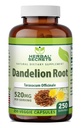 Kruidengeheimen Dandelion Root 520 mg Veggie Capsules Supplement 