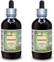 Biologische Sassafras (Sassafras Albidum) Glyceriet, gedroogde bladeren Alcoholvrije vloeistofextract (Grote naam: HerbalTerra, Trots Made in USA) 2x4 fl.oz (2x120 ml)