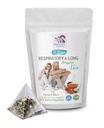 Thé à la menthe poivrée - SOUTIEN RESPIRATOIRE ET LUNG TEA 14 jours - racine astragalus membranaceus, cannelle, Hibiscus, marshmallow Racine, tisane à base de plantes biologiques, herbes de soutien pulmonaire, thé immunitaire - 1paquet 14 sacs