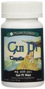 PLUM BLOEMEN CHINESE TEA Gui Pi Wan, 200 CT