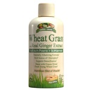 Garden Greens Blé Herbe liquide avec un véritable extrait de gingembre, Superfood parfait de la nature, 32 portions