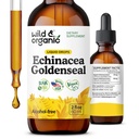 Wild & Organic Echinacea Goldenseal Liquid Drops - Immune Support Supplement w/Goldenseal Echinacea Root Extract - Vegan, Sugar & Alcoholvrije Tinctuur - 2 fl oz