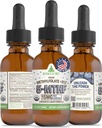 RawGuru L-Methylfolaat 15 mg + Vitamine B12 - Biologische Vegan Gemethyleerd B12 met sporenmineralen - Nano-Processed & Enhanced Liquid Formula - 300 Servings Vegan Drops per 30 ml, Pack of 1