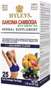 HYLEYS Thee Garcinia Cambogia Groene Thee met Acai Berry smaak - 25 Theezakjes