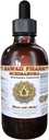 Hawaii Pharm Schisandra Liquid Extract, Biologische Schisandra (Schisandra Chinensis) Tinctuur, Kruidensupplement, Made in USA, 4 fl.oz