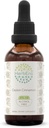 Ceylon Cinnamon B60 Alcoholvrij Kruidenextract Tinctuur, Geconcentreerde Liquid Drops Natural Cinnamon (Cinnamomum Verum) (2 fl oz)